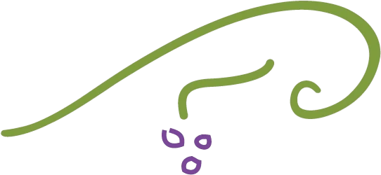 Logo Museu do Vinho