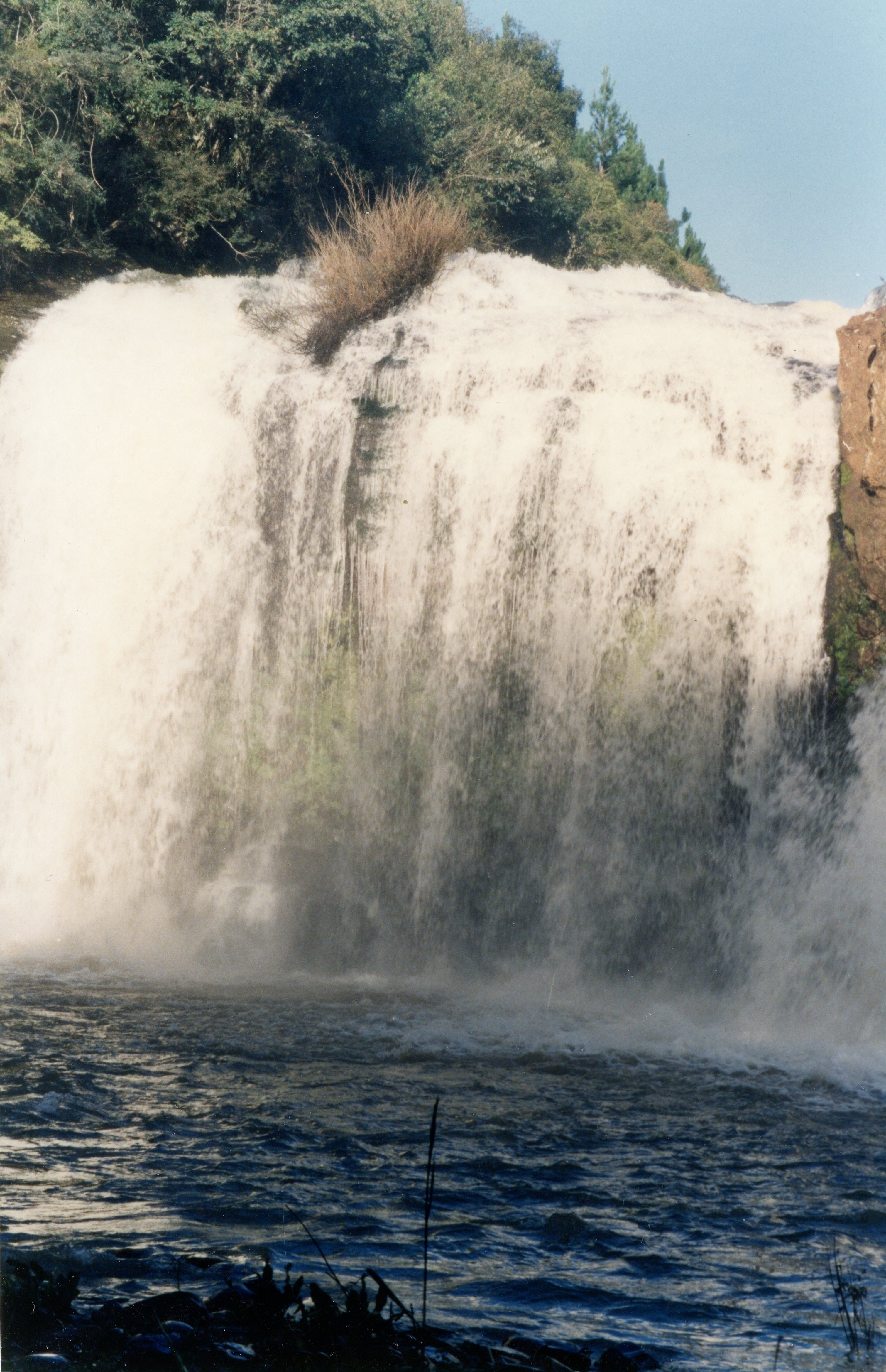 Uma fotografia de uma cachoeira volumosa cercada por vegetação densa e árvores no topo. A imagem captura a força da queda d'água e a névoa formada na base, sugerindo uma paisagem natural preservada, possivelmente em uma região rural do sul do Brasil.