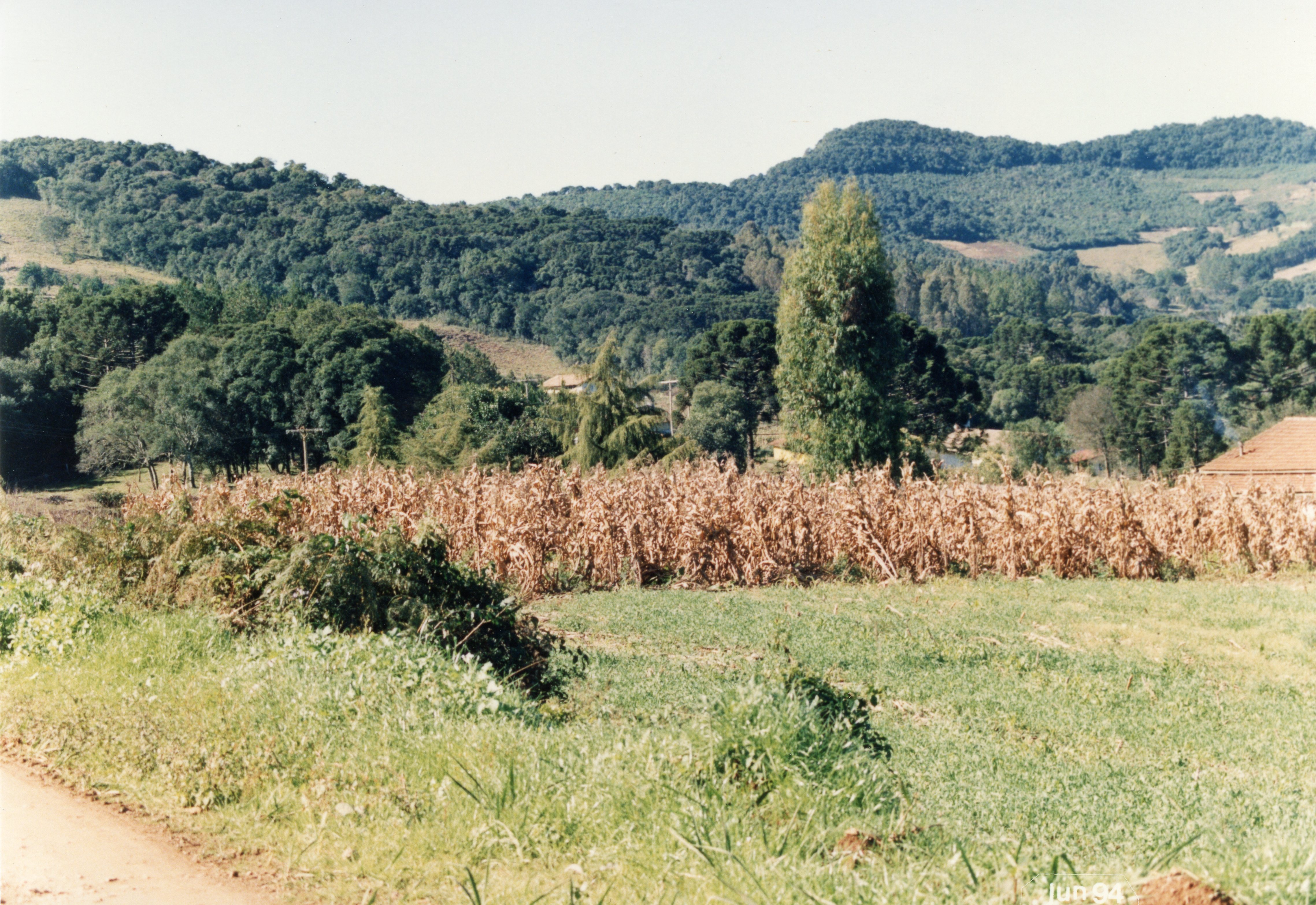 Uma paisagem rural típica do interior do sul do Brasil, apresentando uma plantação de milho seco em primeiro plano e colinas cobertas por vegetação nativa e araucárias ao fundo. A imagem reflete o ambiente agrícola da região, com uma estrutura simples à direita e uma estrada de terra, datada de junho de 1994.