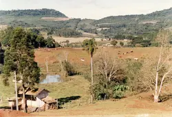 Uma paisagem rural típica do interior do sul do Brasil, apresentando uma pequena construção de madeira, um açude e gado pastando em um terreno ondulado. A vegetação inclui araucárias e colinas ao fundo, refletindo o cenário agrícola comum na região de Videira durante a década de 1990.