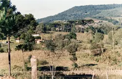 Uma paisagem rural típica da região sul do Brasil, caracterizada pela presença marcante de araucárias e relevo montanhoso. A imagem mostra uma pequena propriedade agrícola com construções simples em meio a campos e vegetação nativa, sugerindo um contexto de colonização ou agricultura familiar de meados do século XX.