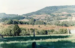 Uma paisagem rural típica do sul do Brasil, possivelmente na região de Videira, exibindo colinas cobertas por vegetação e áreas de pastagem com gado. A imagem apresenta características de fotografia colorida de final do século XX, com relevo acidentado e presença de araucárias ao fundo.