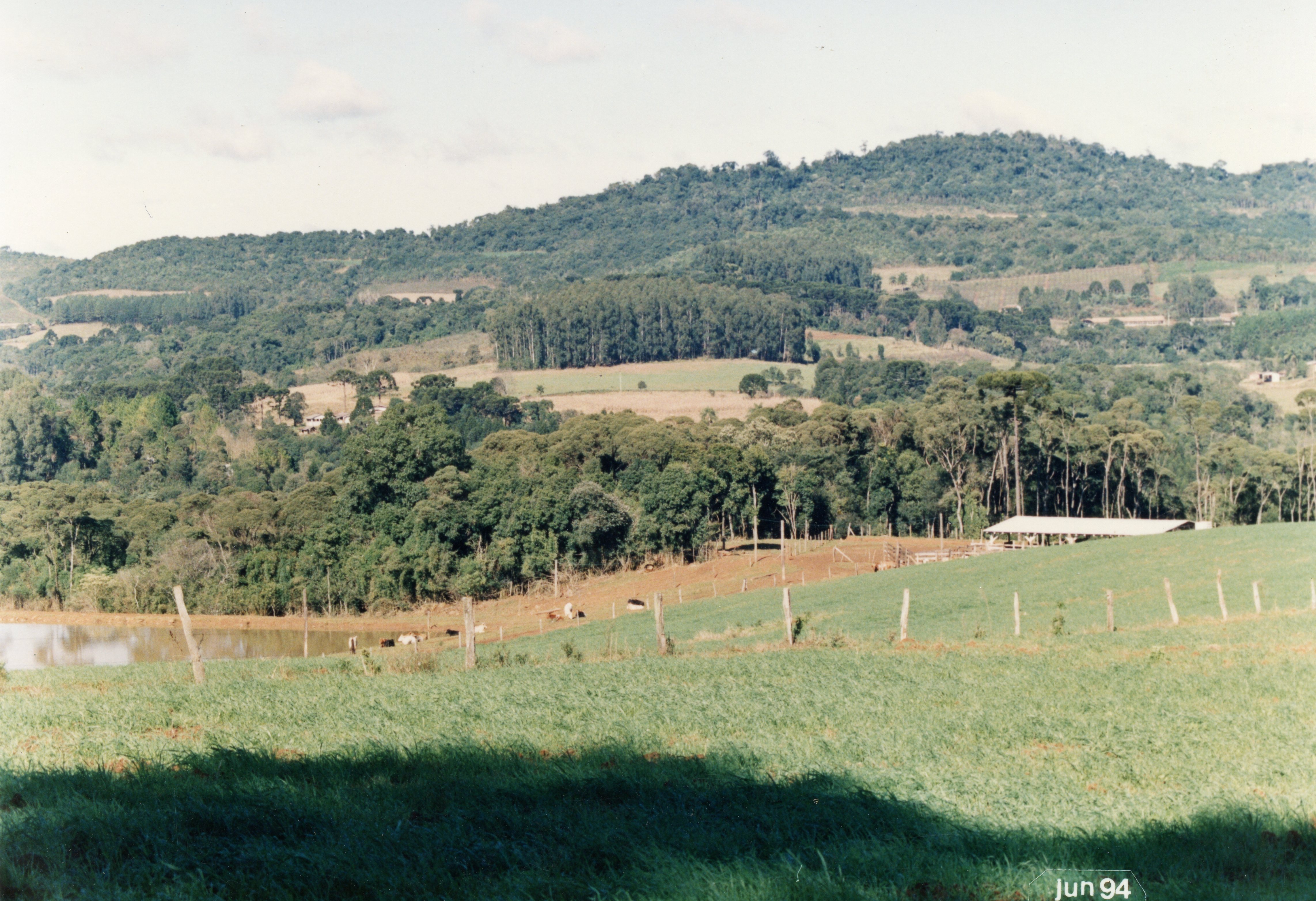 Uma paisagem rural típica da região sul do Brasil, caracterizada por colinas cobertas de vegetação nativa, araucárias e pastagens. A imagem mostra um pequeno açude e uma estrutura simples de galpão, refletindo a atividade agropecuária comum em áreas como Videira na década de 1990.