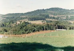 Uma paisagem rural típica da região sul do Brasil, caracterizada por colinas cobertas de vegetação nativa, araucárias e pastagens. A imagem mostra um pequeno açude e uma estrutura simples de galpão, refletindo a atividade agropecuária comum em áreas como Videira na década de 1990.
