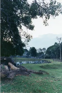 Uma paisagem rural tranquila com um pequeno lago cercado por vegetação e árvores, possivelmente em uma área de colonização no interior do Brasil. A imagem apresenta um tronco de árvore caído em primeiro plano e uma atmosfera bucólica, típica de áreas rurais preservadas.
