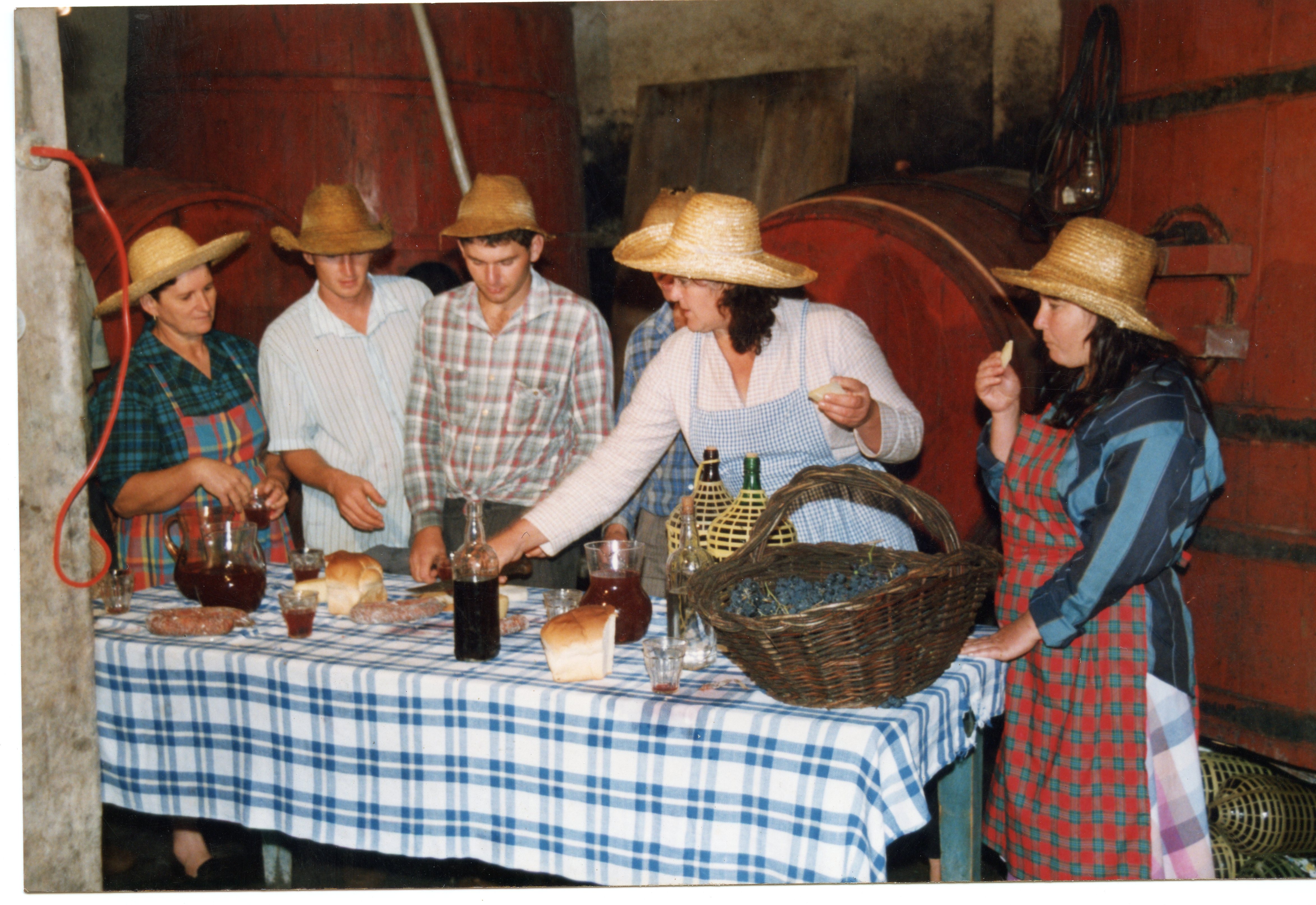 Uma cena que retrata a cultura da vitivinicultura, com pessoas usando chapéus de palha e aventais em torno de uma mesa posta com pães, vinho e uvas. O cenário sugere uma vinícola artesanal, possivelmente em uma região de colonização italiana no sul do Brasil, como Videira, durante uma celebração ou demonstração de colheita.