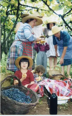 Uma cena bucólica de colheita de uvas em um vinhedo, possivelmente na região de Videira, com várias pessoas, incluindo crianças, usando chapéus de palha. O grupo parece estar fazendo um lanche ou pausa durante o trabalho, com cestas cheias de uvas, uma garrafa de vinho e toalhas xadrez dispostas no chão.