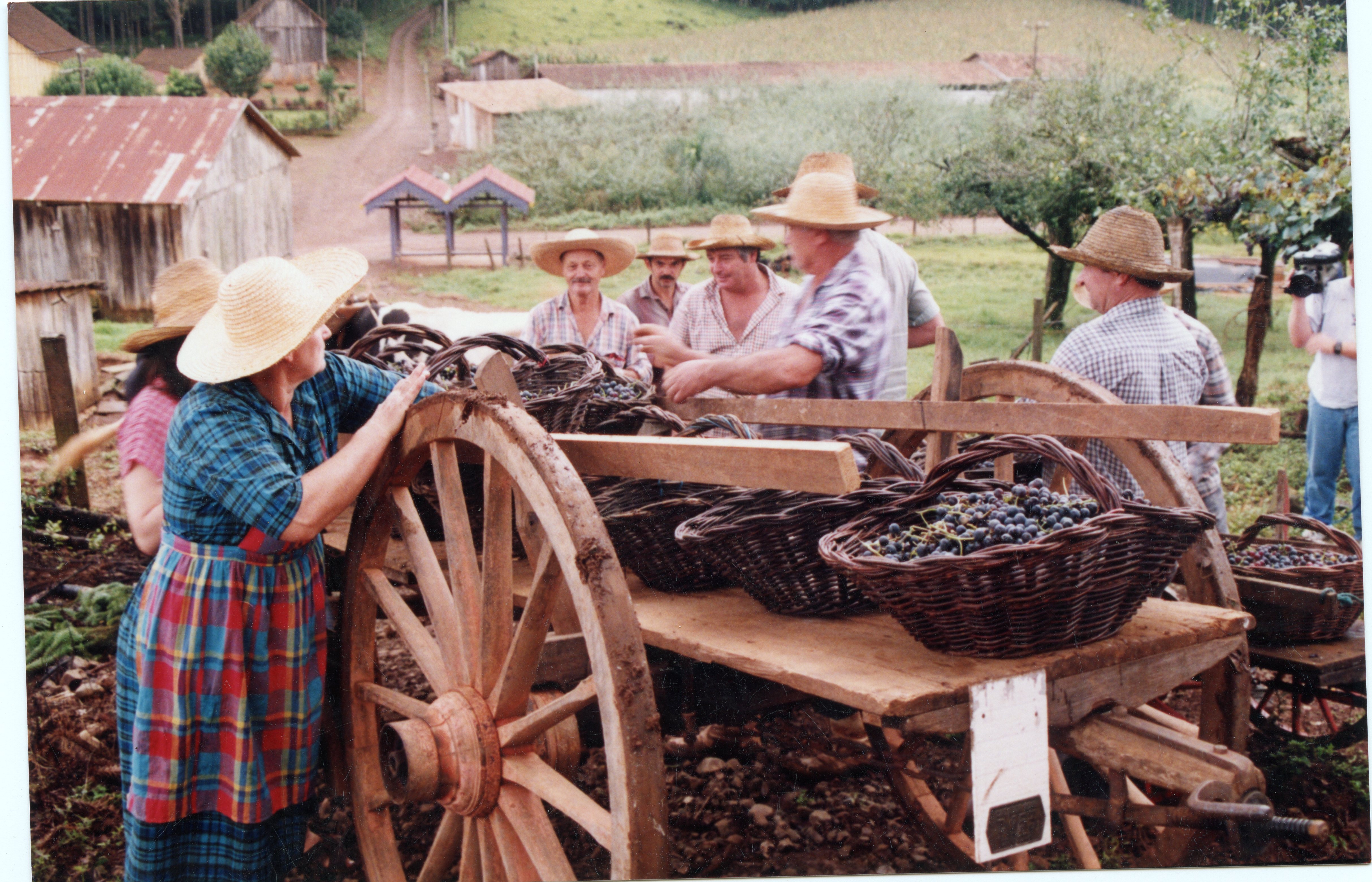 Uma cena rural que retrata a colheita de uvas, com pessoas utilizando chapéus de palha e cestos de vime sobre uma carroça de madeira. O ambiente sugere uma propriedade agrícola familiar, possivelmente em uma região de colonização italiana no sul do Brasil, com construções rústicas ao fundo.