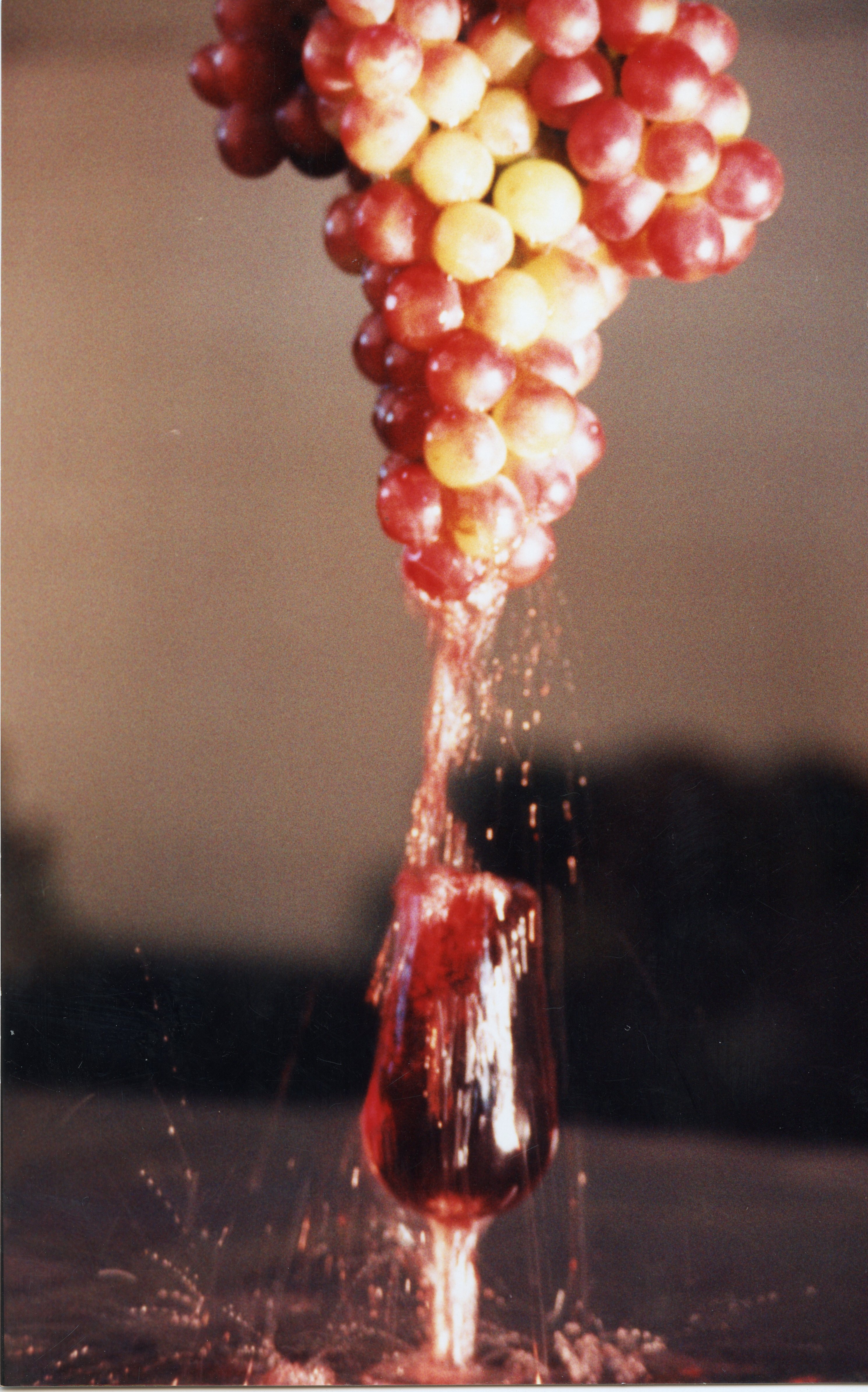 Uma fotografia artística capturando um cacho de uvas frescas sendo espremido, com o suco caindo diretamente em uma taça de vidro. A imagem evoca a tradição vitivinícola, possivelmente relacionada à cultura de Videira, com um estilo fotográfico que remete ao final do século XX.