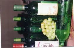 A imagem apresenta várias garrafas de vinho de vidro verde alinhadas horizontalmente, acompanhadas por um cacho de uvas brancas frescas. A presença de rótulos como 'Epagri' e 'Videiras' sugere uma conexão com a vitivinicultura regional, possivelmente em um contexto de promoção de produtos locais.