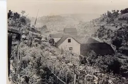 Fotografia em preto e branco de uma paisagem rural ou periurbana, possivelmente no interior do Brasil, exibindo casas de madeira com telhados de telha cerâmica e uma plantação em primeiro plano. A topografia montanhosa ao fundo sugere uma região de colonização, com um veículo antigo visível próximo às construções, indicando uma época entre as décadas de 1940 e 1960.