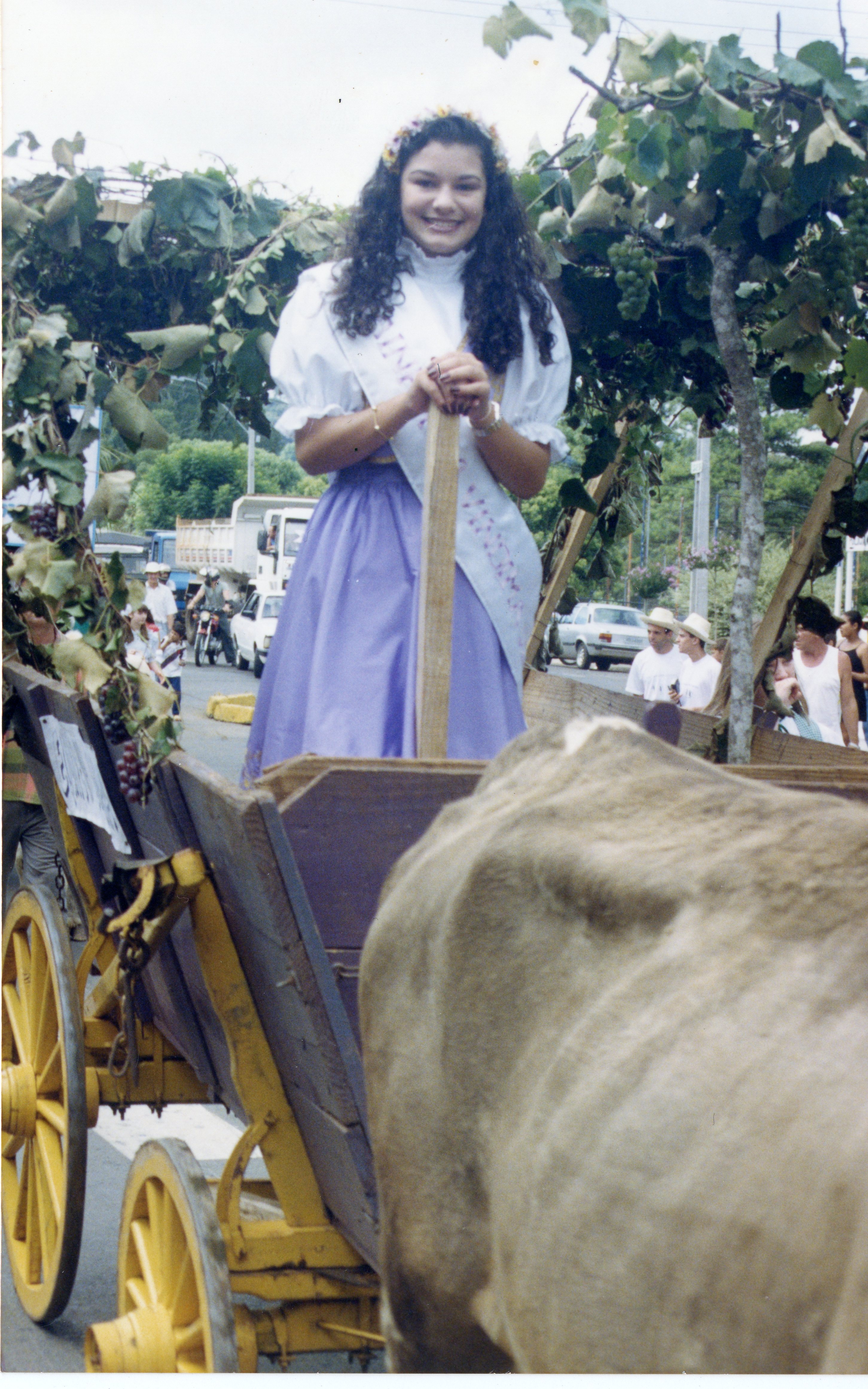 Uma jovem vestida com trajes típicos, possivelmente uma rainha de festa da uva, posa em uma carroça decorada com parreiras durante um desfile. O cenário sugere um evento cultural ou festividade rural, comum em cidades com tradição vitivinícola como Videira, com veículos e pessoas ao fundo indicando um contexto urbano.