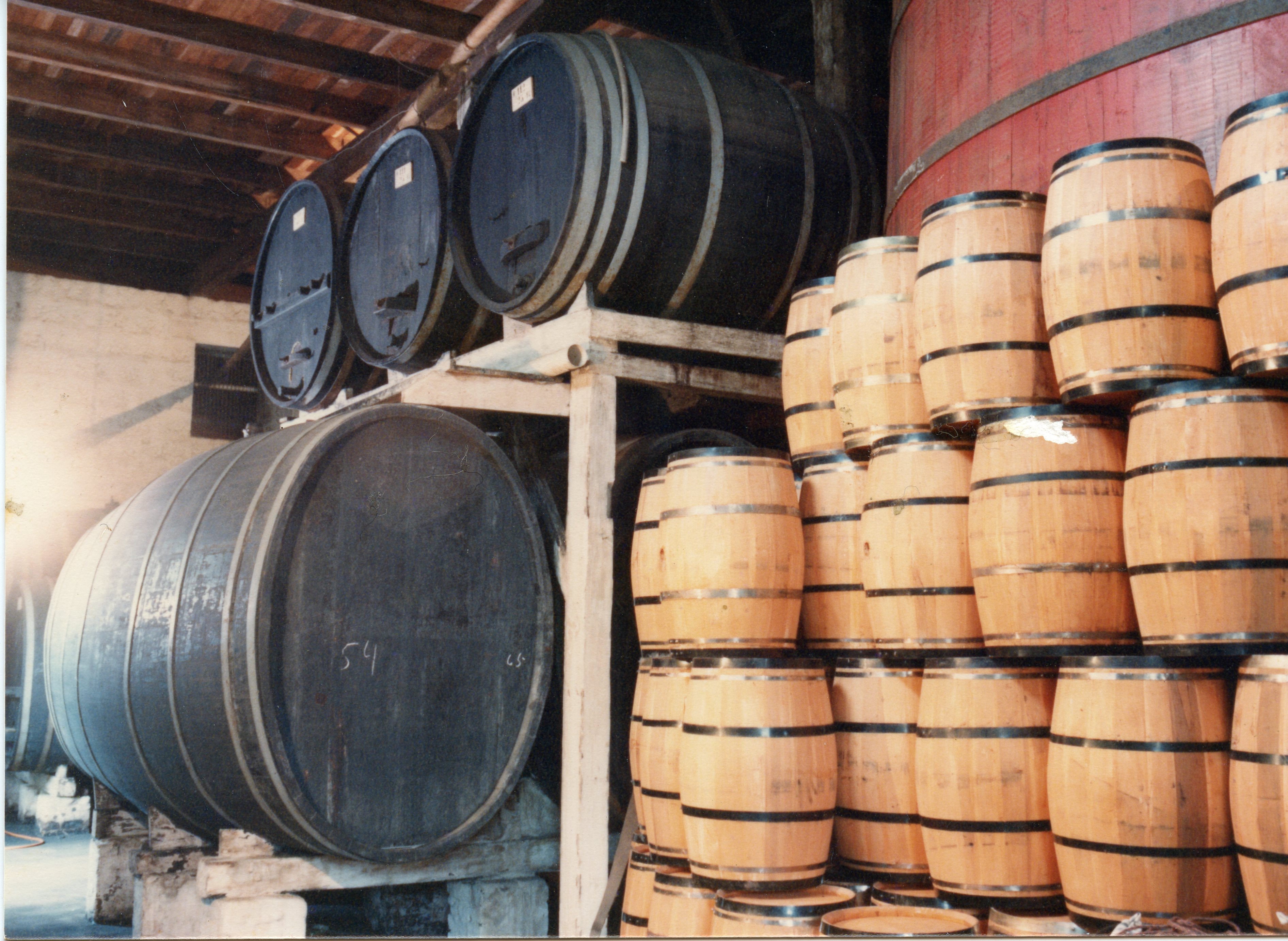 Uma visão interna de uma vinícola tradicional, exibindo grandes barris de madeira escuros e pilhas de barris menores de carvalho claro. A cena remete à produção artesanal de vinho, comum em regiões de colonização europeia como Videira, sugerindo um ambiente de armazenamento industrial ou agrícola.