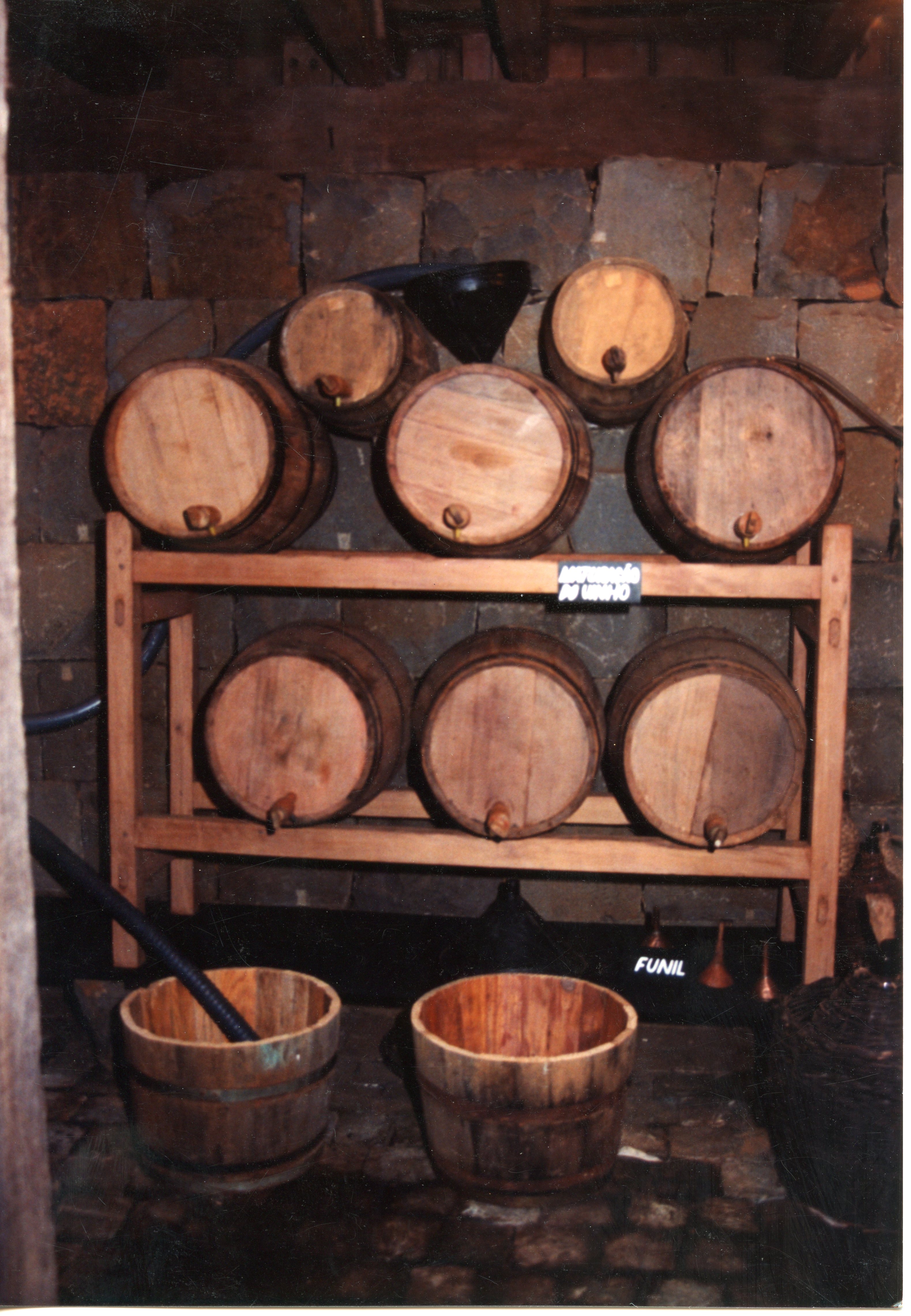 Uma adega rústica com barris de madeira dispostos em prateleiras de madeira sobre uma parede de pedra bruta. O ambiente sugere uma produção artesanal de vinho, comum na cultura de colonização italiana em regiões como Videira, com a presença de utensílios como funis e baldes.