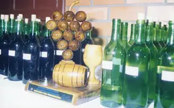 A imagem exibe uma coleção de garrafas de vinho alinhadas em uma prateleira, acompanhadas por uma peça decorativa de madeira em formato de barril e um cacho de uvas esculpido. O contexto sugere uma vinícola ou evento de celebração vitivinícola, possivelmente na região de Videira, conhecida por sua tradição na produção de vinhos.