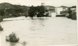 Fotografia em preto e branco registrando uma enchente em uma área urbana, possivelmente em uma cidade do interior como Videira. A imagem mostra um rio transbordado cobrindo ruas e vegetação, com edificações ao fundo parcialmente cercadas pela água.