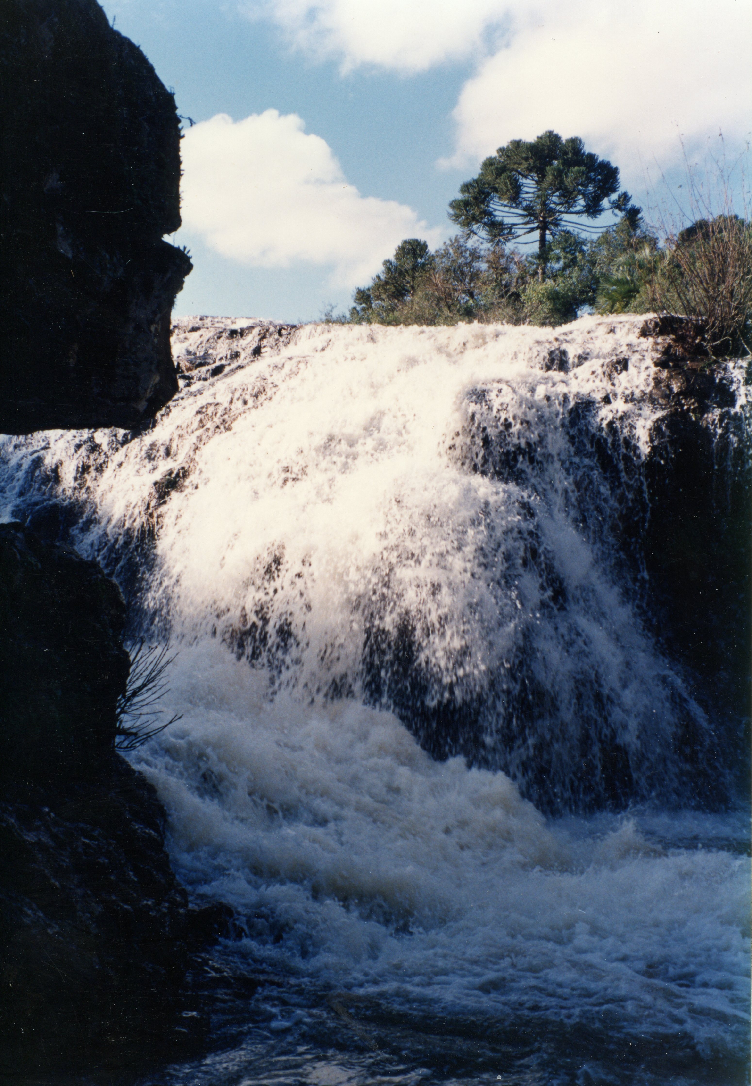 A imagem colorida mostra uma cachoeira em um ambiente natural. A água branca e espumante desce sobre rochas escuras, com vegetação densa e árvores, incluindo uma araucária, visíveis no topo da queda d'água. O céu azul com nuvens brancas sugere um dia claro, capturando a beleza de uma paisagem natural, possivelmente no sul do Brasil.