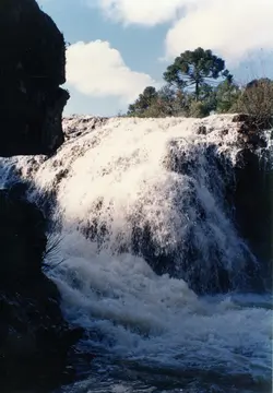 A imagem colorida mostra uma cachoeira em um ambiente natural. A água branca e espumante desce sobre rochas escuras, com vegetação densa e árvores, incluindo uma araucária, visíveis no topo da queda d'água. O céu azul com nuvens brancas sugere um dia claro, capturando a beleza de uma paisagem natural, possivelmente no sul do Brasil.