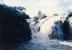 Uma fotografia de uma cachoeira em uma área rural, caracterizada por formações rochosas e vegetação típica da região sul do Brasil, incluindo araucárias. A imagem apresenta um aspecto natural e preservado, possivelmente capturada em meados do final do século XX.