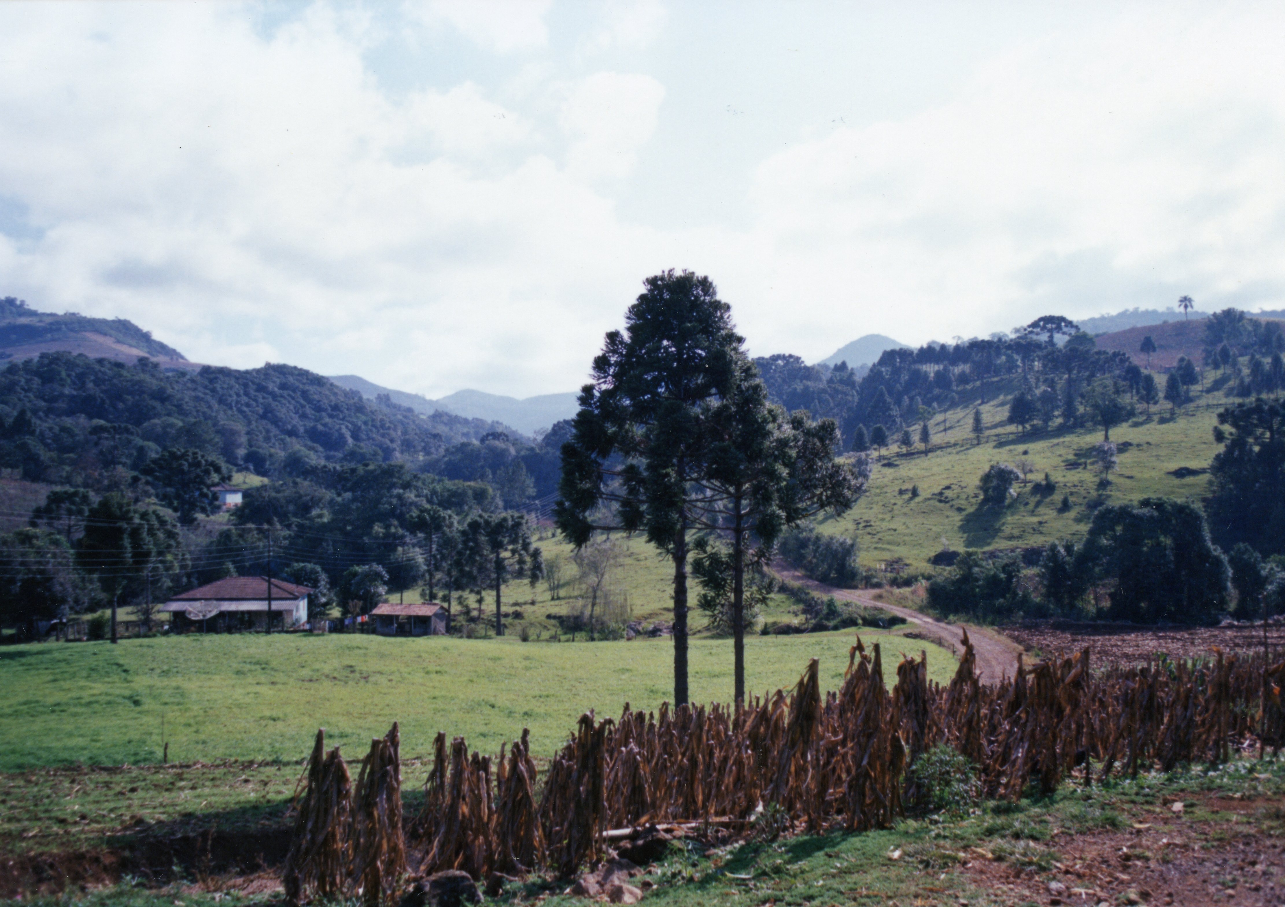 Paisagem rural com colinas verdes e montanhas ao fundo, pontilhada por árvores, incluindo araucárias. Duas casas modestas com telhados vermelhos aparecem à esquerda, em meio a campos cultivados e pastagens. Uma estrada de terra serpenteia pela paisagem, sugerindo um ambiente rural e possivelmente isolado, com características típicas do sul do Brasil.