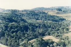 Uma paisagem rural brasileira, possivelmente na região de Videira, caracterizada por colinas cobertas por vegetação nativa e áreas de pastagem. A imagem apresenta uma vista panorâmica típica de zonas rurais do sul do Brasil, com a data 'JUN 94' visível no canto inferior direito.