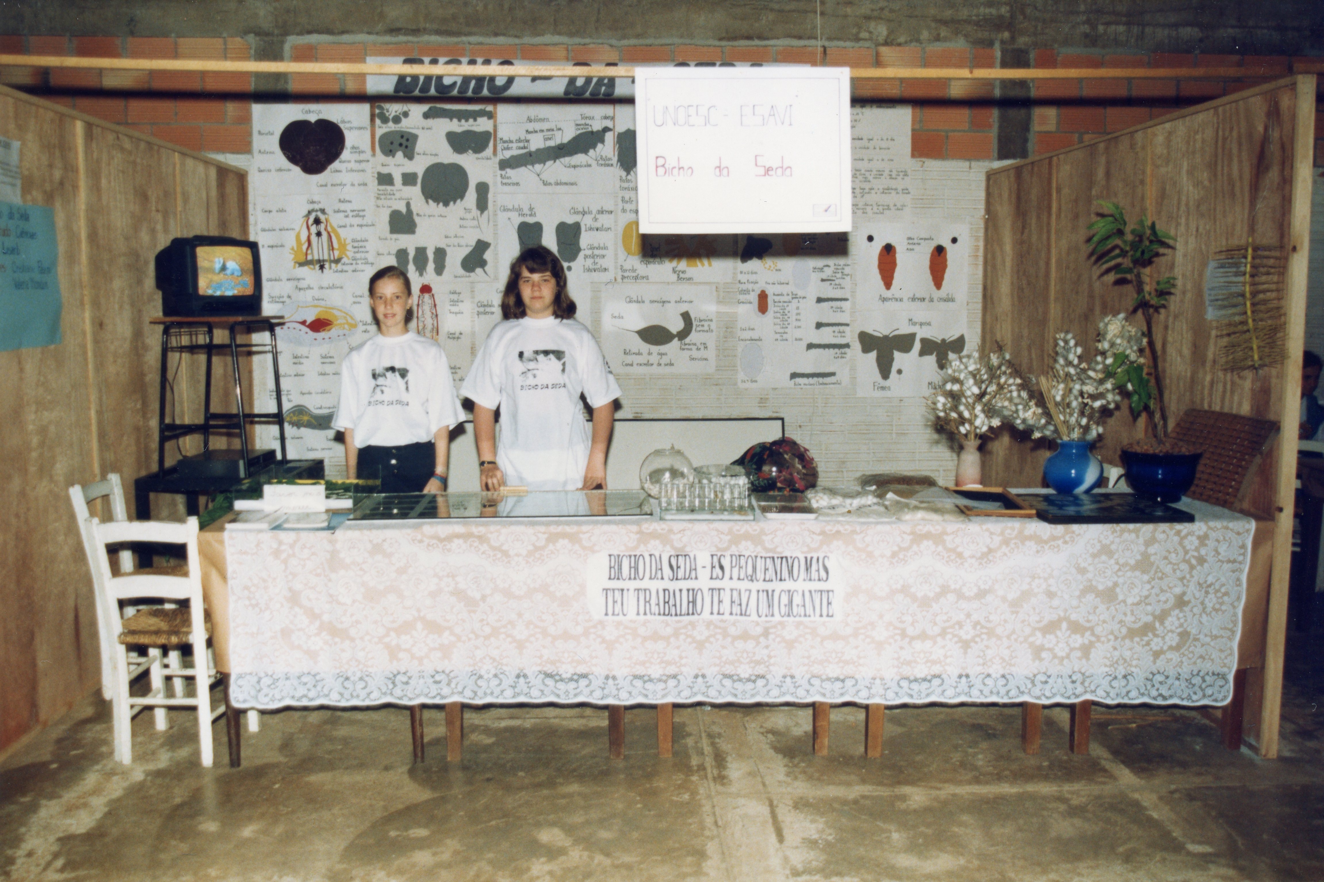 Uma fotografia de uma feira escolar ou acadêmica sobre a sericicultura, apresentando duas jovens em um estande com cartazes educativos sobre o ciclo de vida do bicho-da-seda. O ambiente possui divisórias de madeira e uma mesa decorada com toalha de renda, refletindo uma atividade educacional típica de instituições como a UDESC/ESAVI, provavelmente na década de 1990.