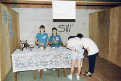 Uma feira de ciências escolar realizada em um ambiente interno com paredes de tijolos aparentes e divisórias de madeira. Dois meninos estão atrás de uma mesa coberta por uma toalha de renda, apresentando um projeto sobre sementes da 'Escola Básica Prefeito Paulo Penso', enquanto outros dois alunos observam o trabalho.