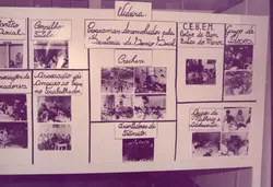 Um painel informativo sobre programas sociais desenvolvidos pela Secretaria de Serviço Social de Videira, contendo diversas fotografias em preto e branco de atividades comunitárias. O material apresenta registros de creches, grupos de idosos, orientadores de trânsito e associações, provavelmente datando das décadas de 1980 ou 1990.