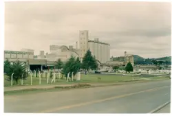 Uma fotografia colorida de um complexo industrial, possivelmente uma unidade de processamento de grãos ou agroindústria, com grandes silos e estruturas fabris. A cena apresenta uma área externa com gramado, árvores e uma estrada pavimentada em primeiro plano, sugerindo um ambiente rural ou periurbano típico de cidades do interior brasileiro.