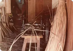 Uma fotografia colorida que mostra um equipamento mecânico antigo utilizado para processar fibras vegetais, possivelmente vime ou palha, em um ambiente de trabalho rústico. O cenário sugere uma atividade artesanal ou de pequena indústria rural, comum em regiões de colonização europeia no Brasil, como Videira, durante meados do século XX.